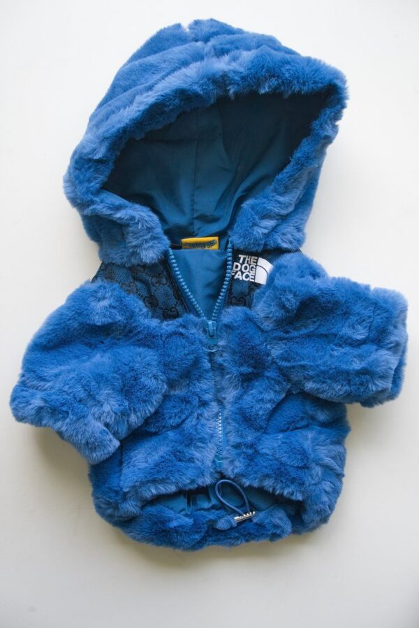 Blue Fur Gucci Coat img1