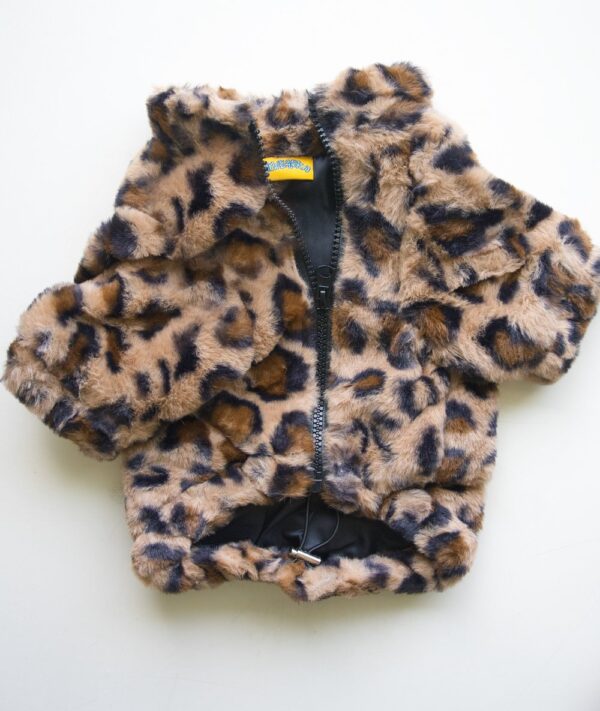 Cheetah Print Coat