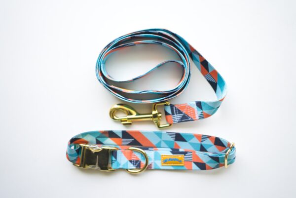 Maching Leash and Color Turquoise Print img