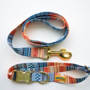 Matching Leash and Collar-Orange Print -img