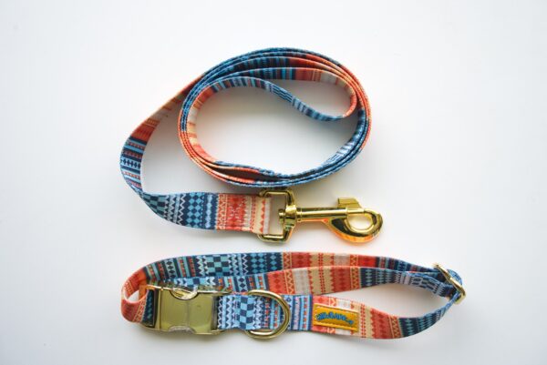 Matching Leash and Collar-Orange Print -img